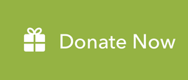 PayPal: Donate